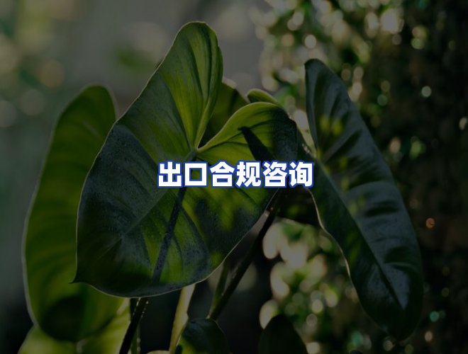 专业团队